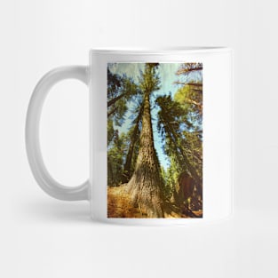 Sequoia tree Mug